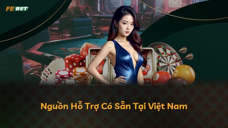 Nguồn Hỗ Trợ Có Sẵn Tại Việt Nam
