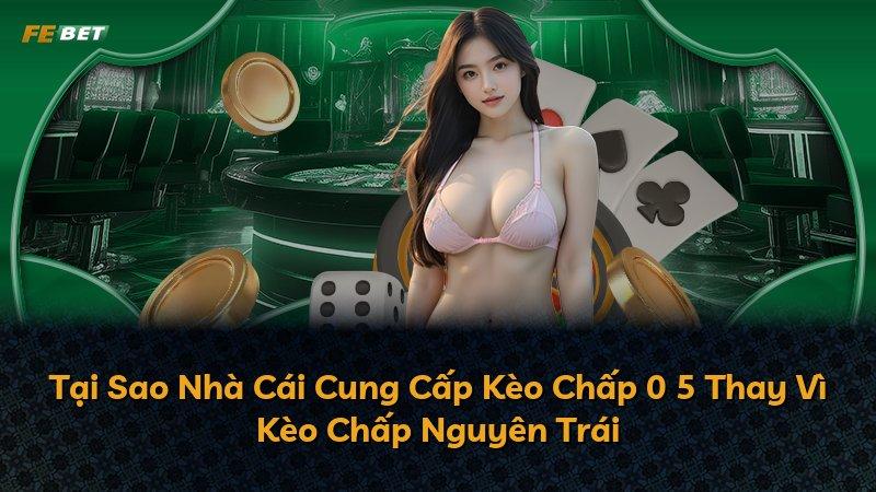 Tại Sao Nhà Cái Cung Cấp Kèo Chấp 0 5 Thay Vì Kèo Chấp Nguyên Trái