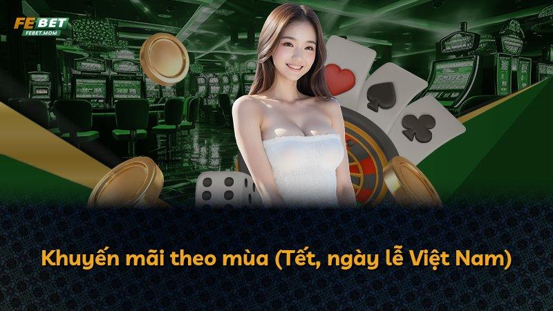Khuyến mãi theo mùa (Tết, ngày lễ Việt Nam)